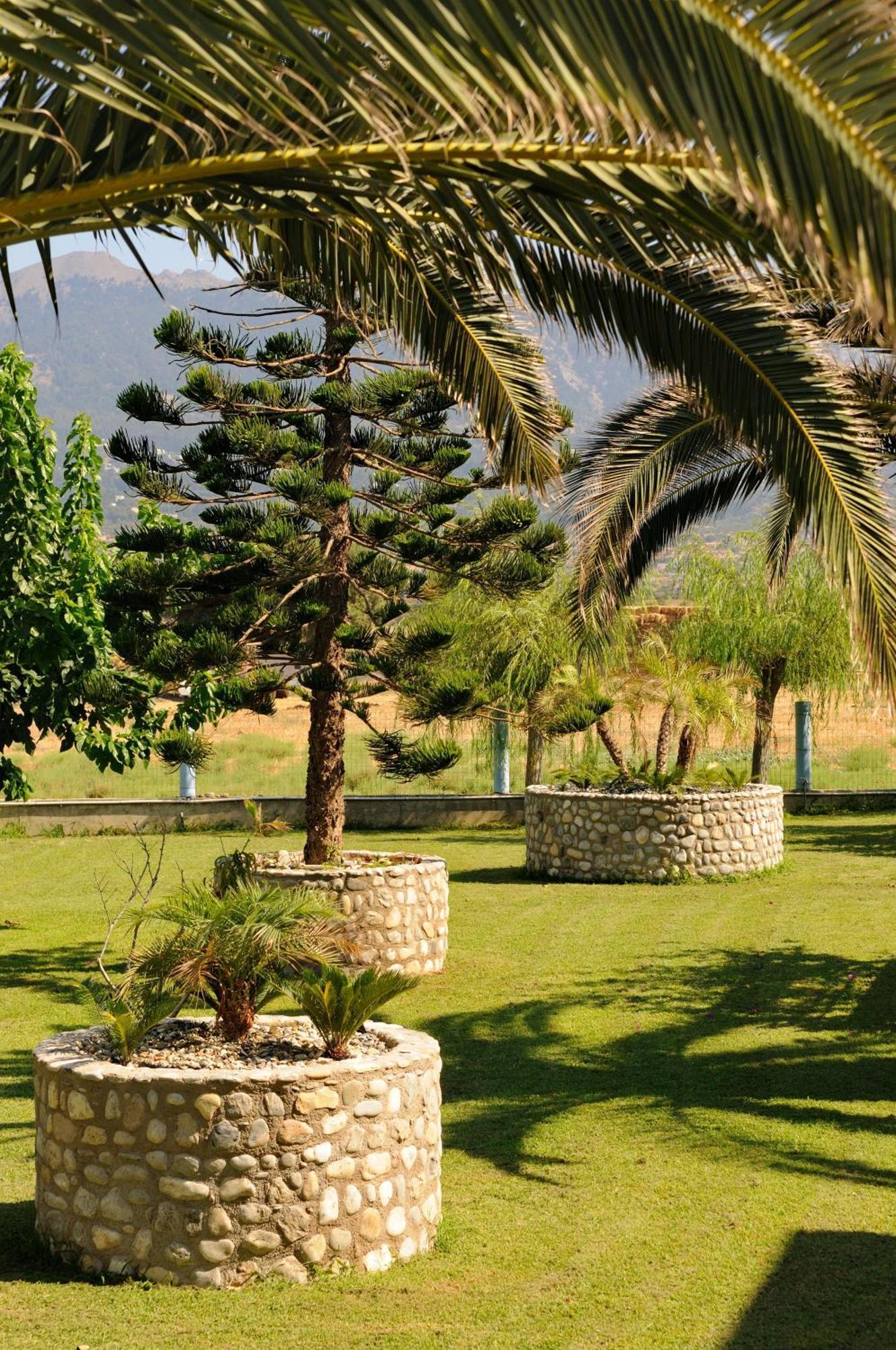 Akti Dimis Hotel Tigaki Extérieur photo